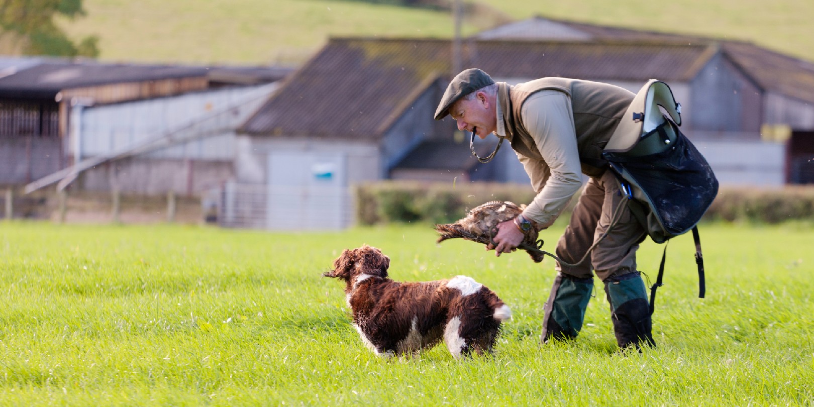 hunting-in-the-uk the-independence A Gamekeeper praising his Springer Spaniel, Devon, UK